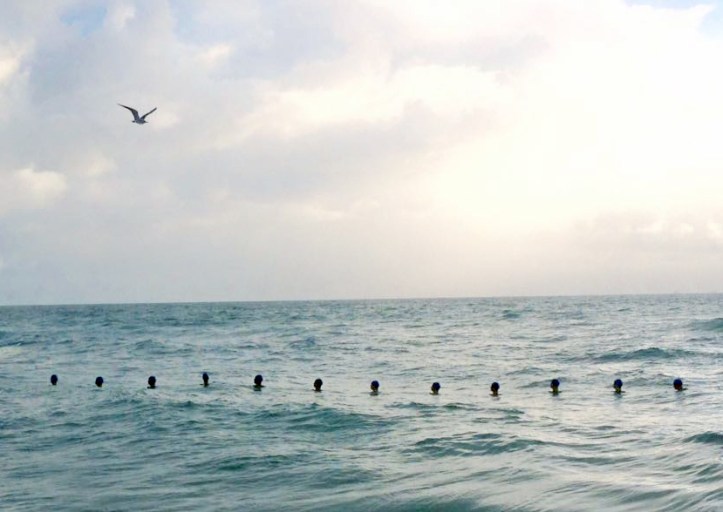 15319321_1182640501771312_5052672686127803898_n