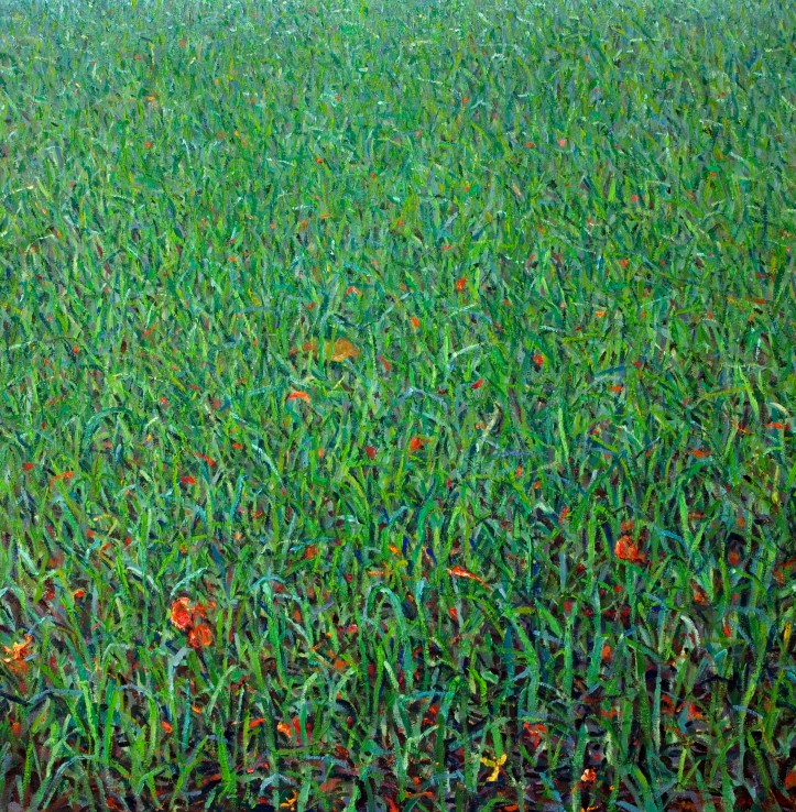 Green Field With Flamboyant Blossom